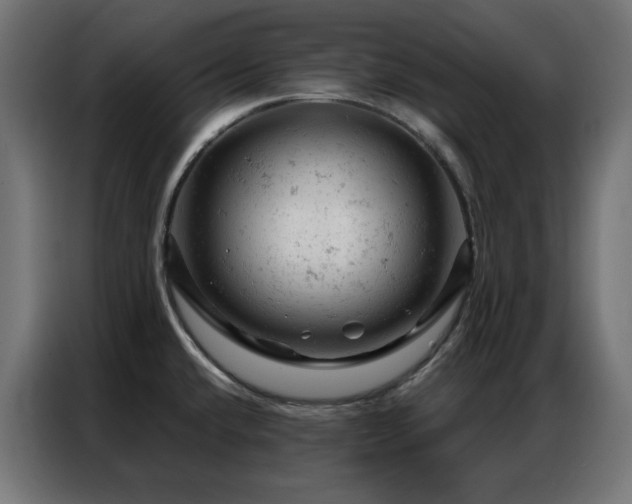 X0000087001432200704161516