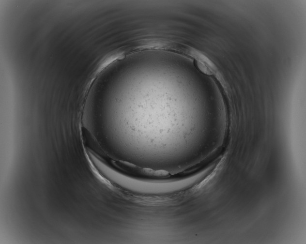 X0000087001433200704161516