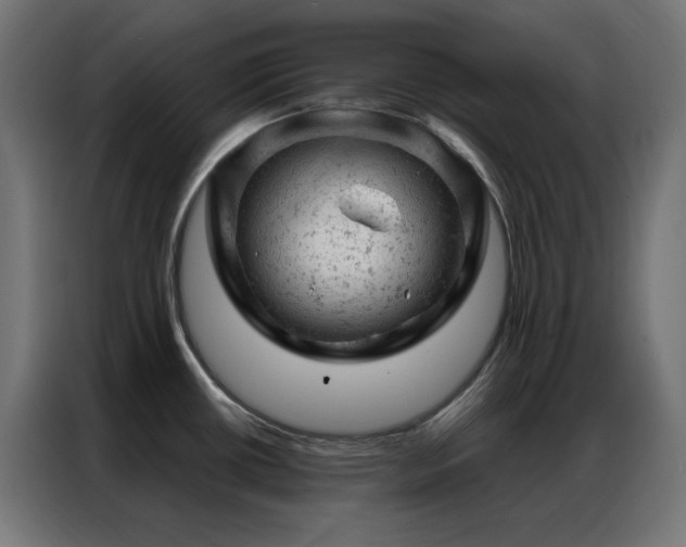 X0000087001434200704161516