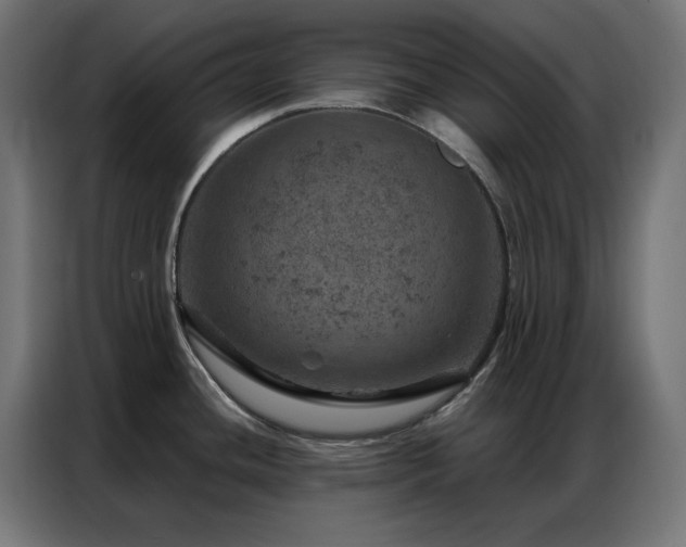 X0000087001436200704161516