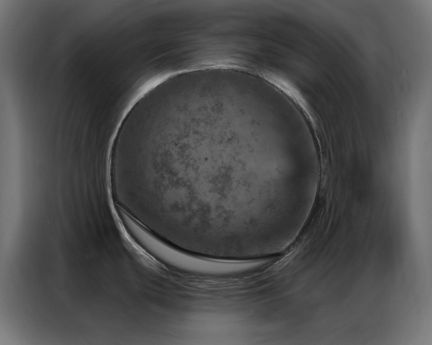 X0000087001439200704161516