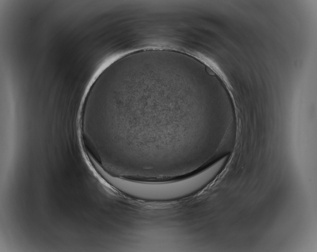 X0000087001440200704161516