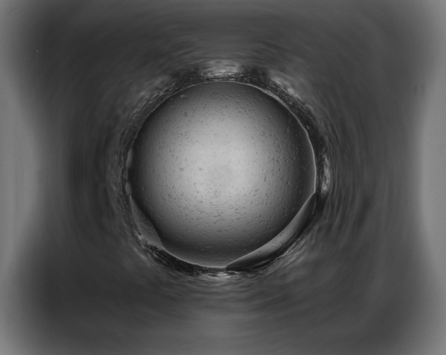 X0000087001441200704161515