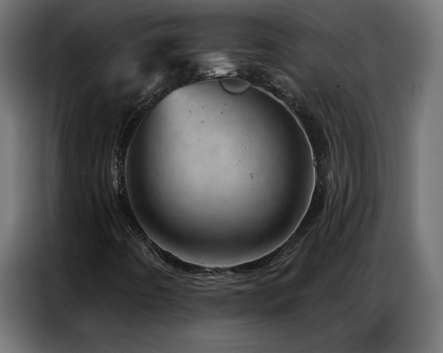 X0000087001442200704161515