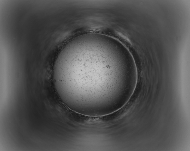 X0000087001447200704161515