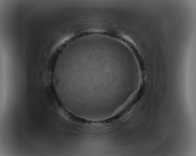 X0000087001448200704161515