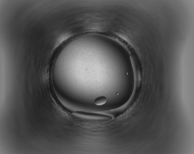 X0000087001450200704161515