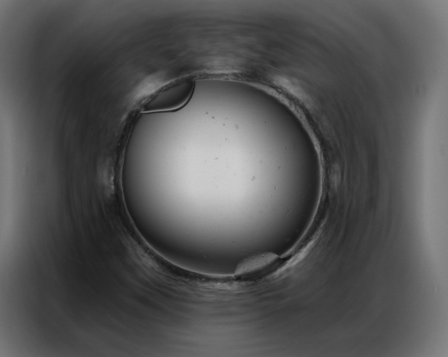 X0000087001451200704161515