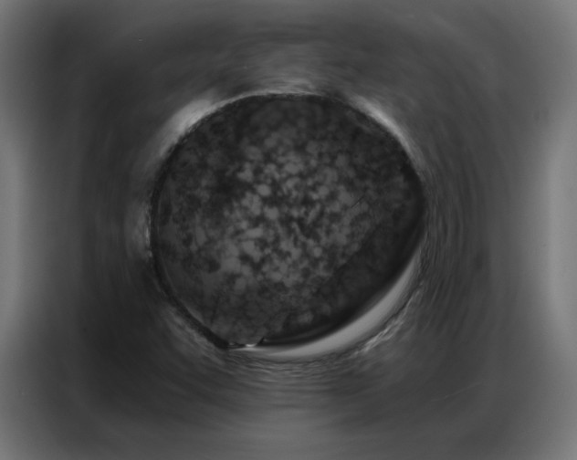 X0000087001455200704161515