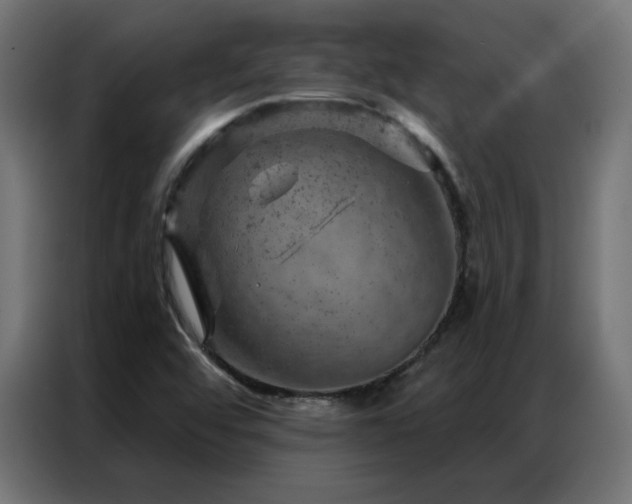 X0000087001456200704161515
