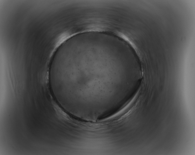 X0000087001459200704161515