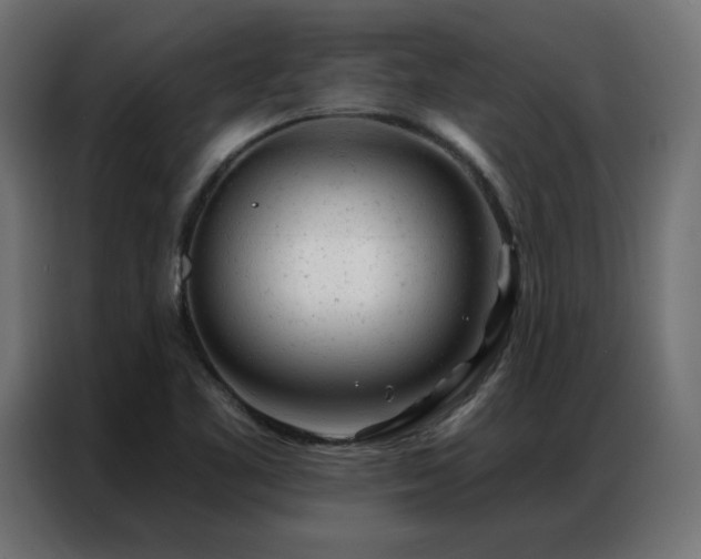 X0000087001461200704161515