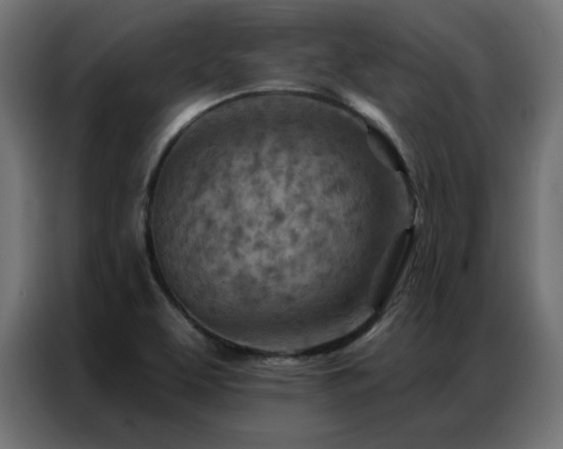 X0000087001463200704161515