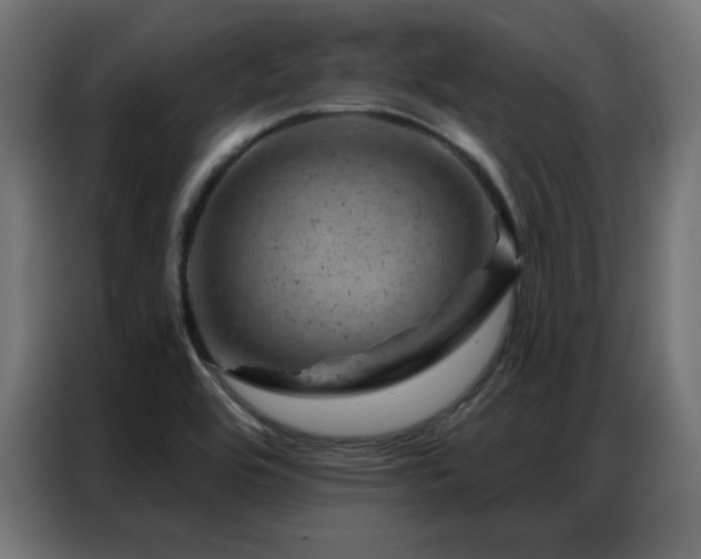 X0000087001464200704161515