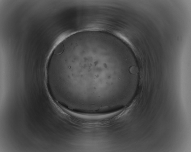 X0000087001467200704161515