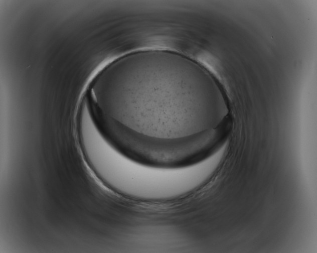 X0000087001468200704161515