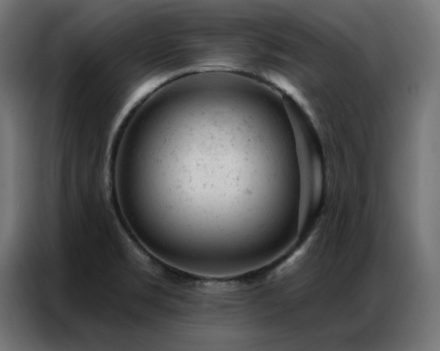 X0000087001469200704161515