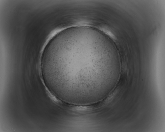 X0000087001470200704161515