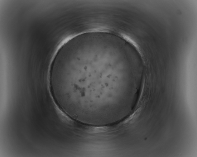 X0000087001471200704161515