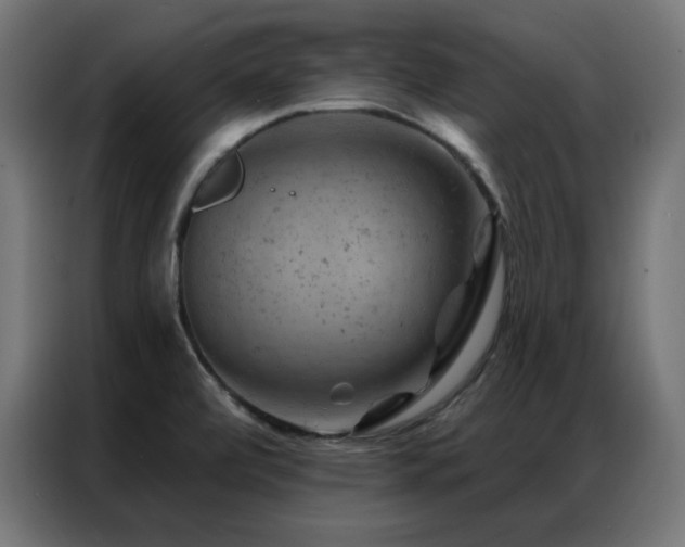 X0000087001472200704161515