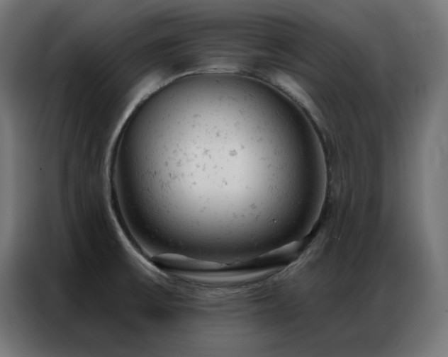 X0000087001475200704161515