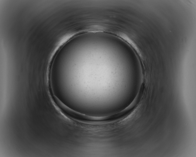 X0000087001477200704161515