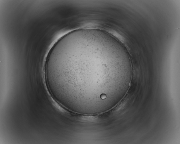 X0000087001478200704161515