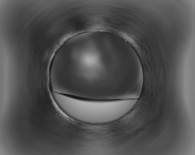 X0000087001479200704161515