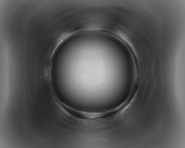 X0000087001481200704161515