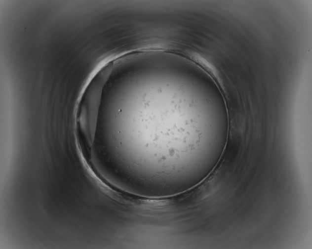 X0000087001483200704161515