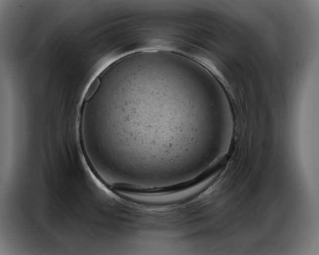 X0000087001484200704161515