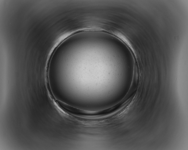 X0000087001485200704161515