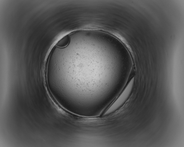 X0000087001486200704161515