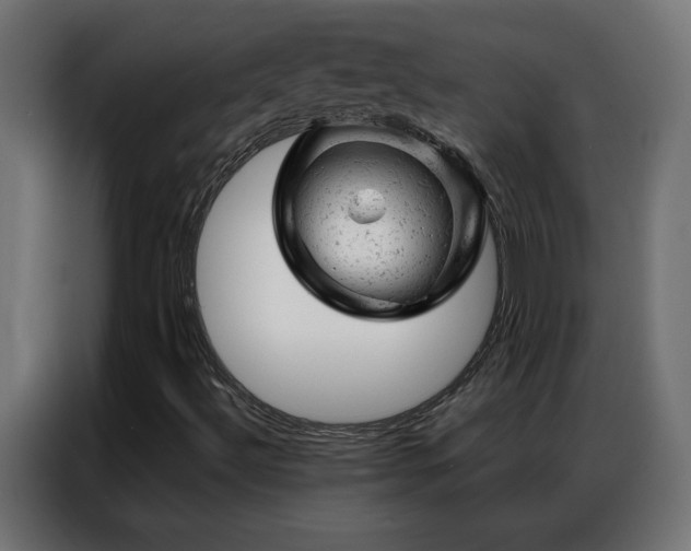 X0000087001492200704161514