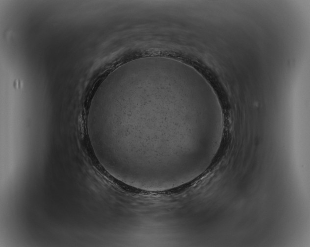 X0000087001493200704161514