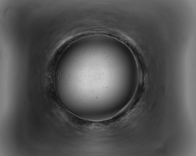 X0000087001496200704161514