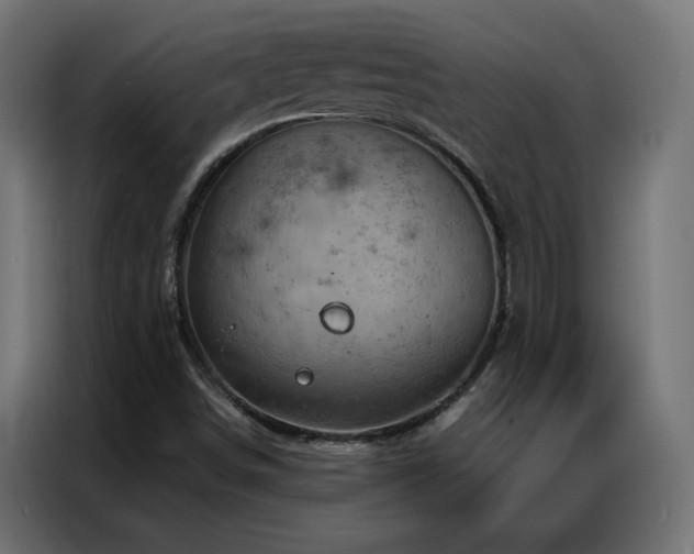 X0000087001498200704161514