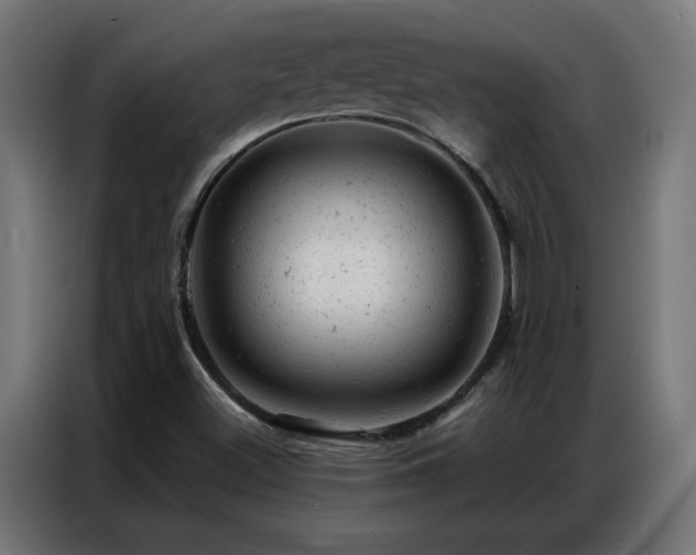 X0000087001500200704161514