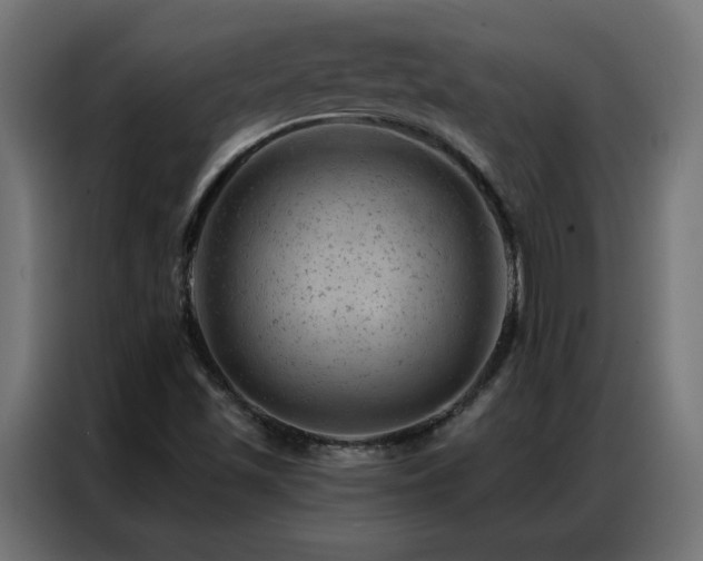 X0000087001501200704161514