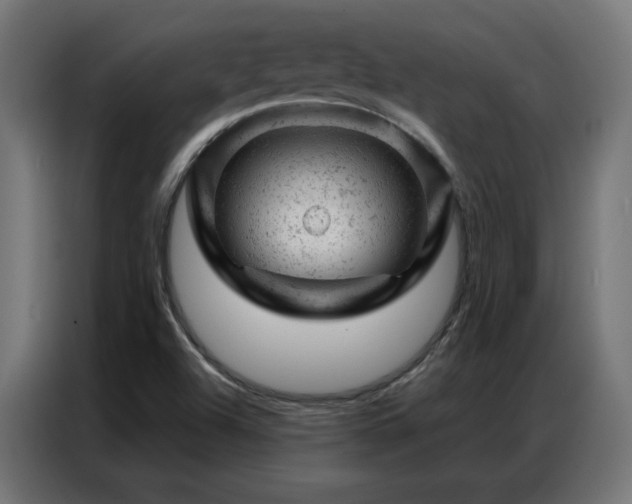 X0000087001504200704161514
