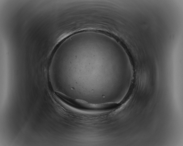 X0000087001505200704161514