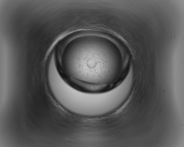 X0000087001506200704161514