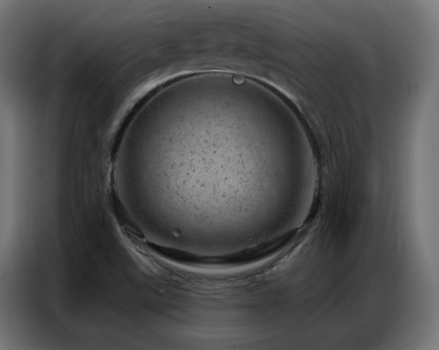 X0000087001507200704161514