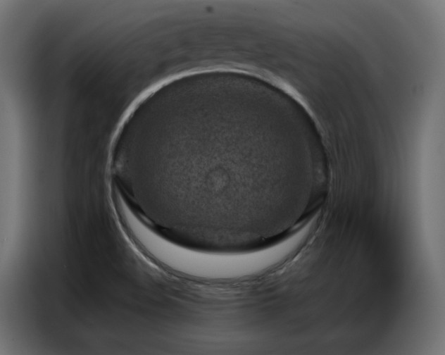X0000087001508200704161514