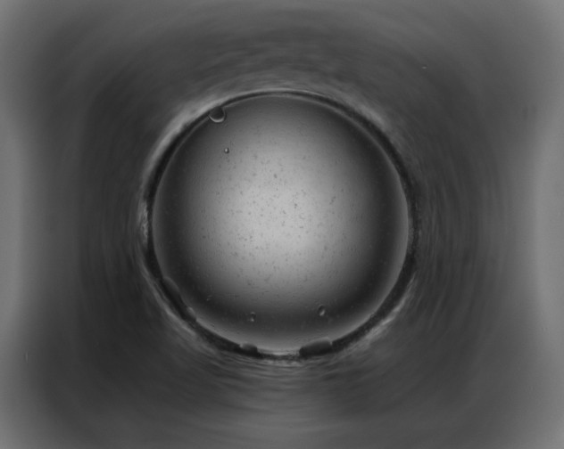 X0000087001509200704161514