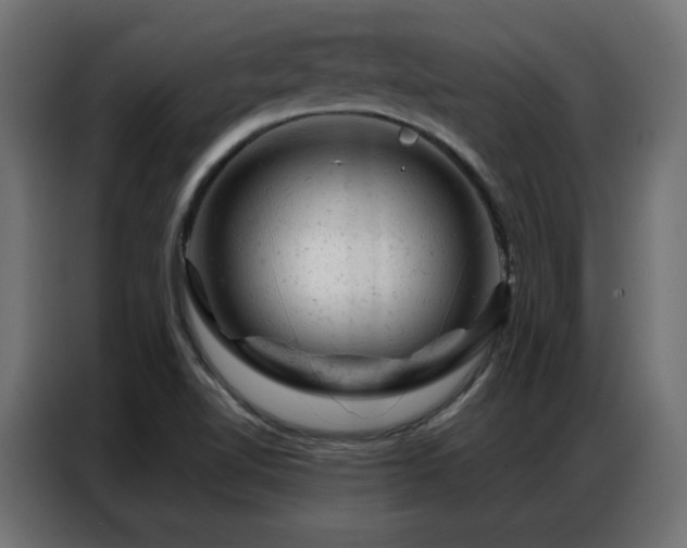X0000087001510200704161514