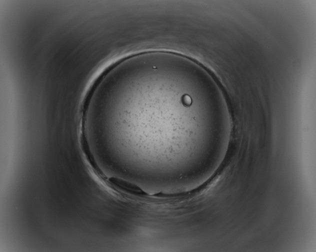 X0000087001511200704161514