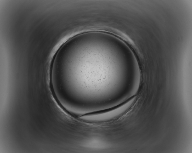 X0000087001512200704161514