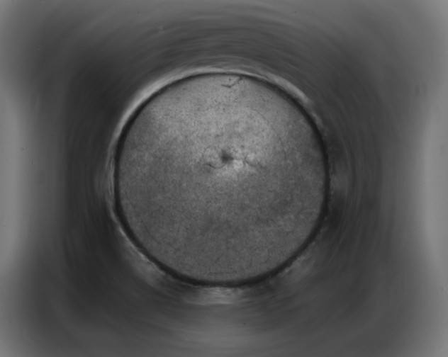 X0000087001514200704161514