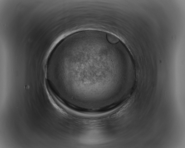 X0000087001515200704161514